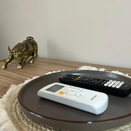 アパート Bicerin Brown トリノ